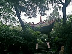-文瀛公园