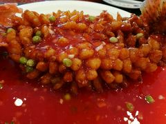 -丁老爷子苏香圆