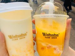 -娃哈哈·奶茶(武林店)
