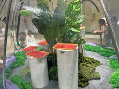 -深圳龙华星河COCO City(民治店)