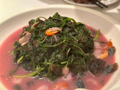 上汤苋菜-老吉士酒家(天平路店)