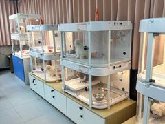 -翊宠yipet猫狗购宠庄园犬舍•猫舍