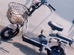 -雅迪电动车(北艾路店)
