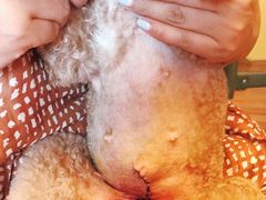 -爱侣宠医·鹦鹉专科·小型哺乳类·异宠专科(灵石路店)