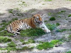-西安秦岭野生动物园