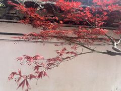 -王阳明故居