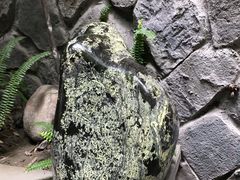 -鱼桥巷·美学川菜