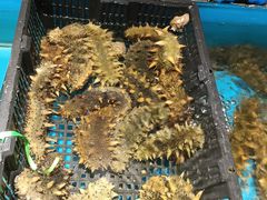 -隐厨·海鲜餐厅(恒通路店)