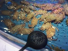 -澜悦港海鲜体验主题餐厅