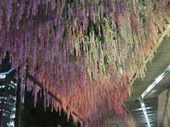 -银座mall(东直门店)
