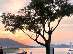 -东钱湖旅游度假区