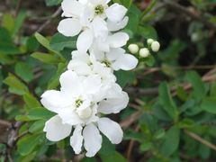 -木兰云雾山