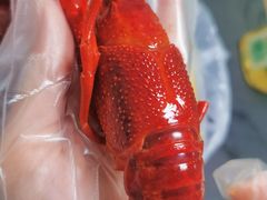 -盱眙红叶龙虾(金源北路店)