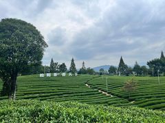 -千峡湖生态旅游度假区