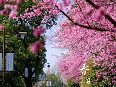 -杭州半山国家森林公园