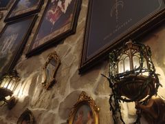 -雪灵魔法世界SHELLY’S TAROT(大良桂畔里店)
