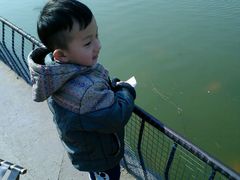 android_upload_pic-唐山抗震纪念碑广场