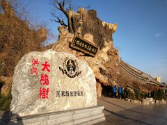 -大槐树寻根祭祖园