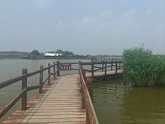 -西青郊野公园