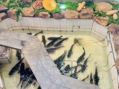 -春盛渔府(牛首山店)