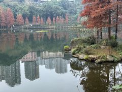 -重庆彩云湖湿地公园