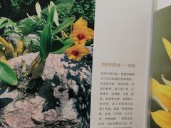 -北京中医药大学-中医药博物馆