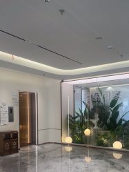 -深圳美莱医疗美容医院