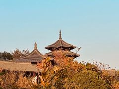 -杭州半山国家森林公园