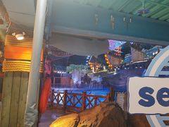 -海合安青岛极地海洋公园