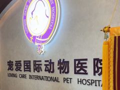 -宠爱国际动物医院·疑难骨科·心肾内科·皮肤科(太阳宫店)