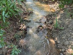 -滴水岩森林公园