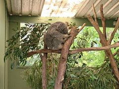 -费瑟代尔野生动物园