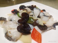 -九炉分座(五彩店)