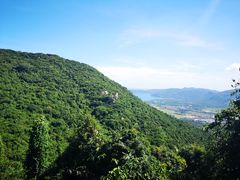 -三亚亚龙湾人间天堂鸟巢度假村