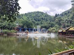 -西双版纳原始森林公园
