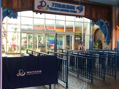 -青岛东方影都融创水世界