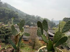 -杨家堂村