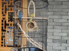 -北京南锣鼓巷亚朵酒店