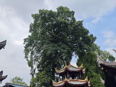 -峨眉山报国寺