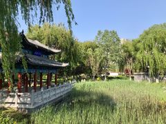 -济南国际园博园