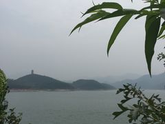 -望湖烤鱼