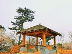 -北京十三陵国家森林公园蟒山景区