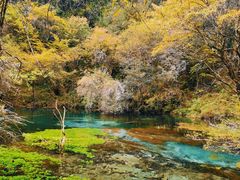 -叠溪松坪沟景区