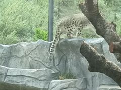 -青藏高原野生动物园