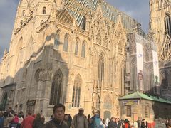 -斯蒂芬主教座堂(Stephansdom)