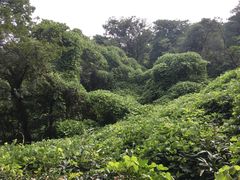 -南京市江宁方山