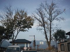 -东梓关景区村庄