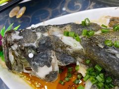 -七鲜渔港美食餐厅(巽寮湾海景店)