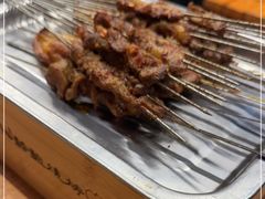 -福苗小骆驼烧烤(莲湖路店)
