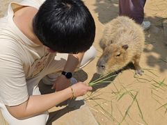 -西霞口神雕山野生动物世界